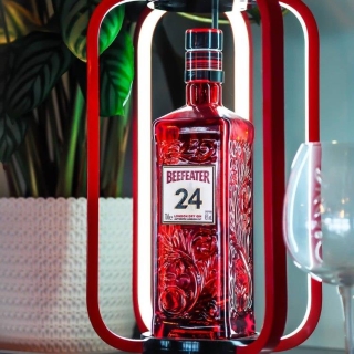 beefeater london dry gin 24
