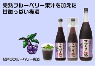 Rượu mơ vị việt quất Kishu No Blueberry Umeshu 720ml (Chai)